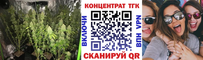 ТГК концентрат  KRAKEN ТОР  Боровск 