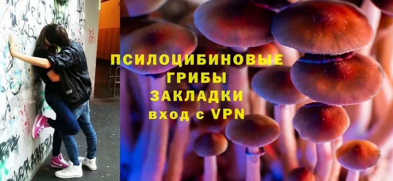 Галлюциногенные грибы Magic Shrooms  Боровск 